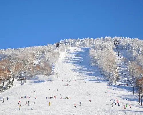 タンネの森オコジョスキー場