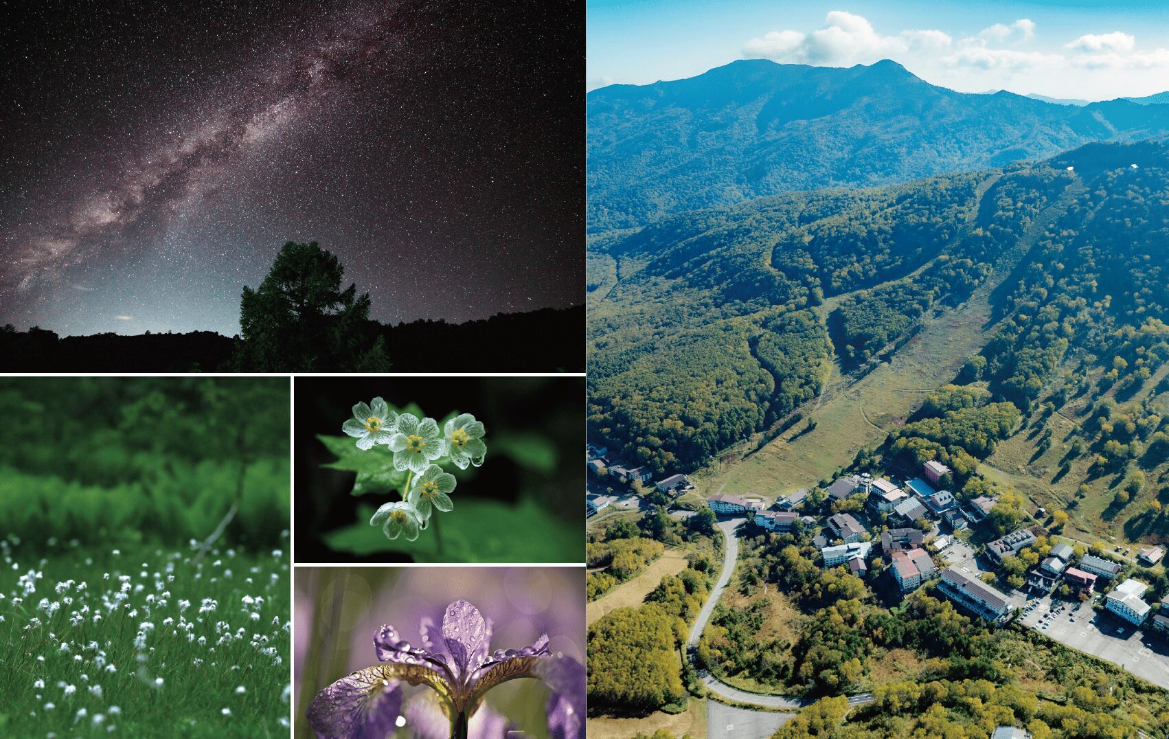 志賀高原一の瀬エリアの記憶と歴史を紡ぐストーリーブック「水と森の記憶 〜志賀高原、一の瀬に息づくものがたり〜」が完成しました