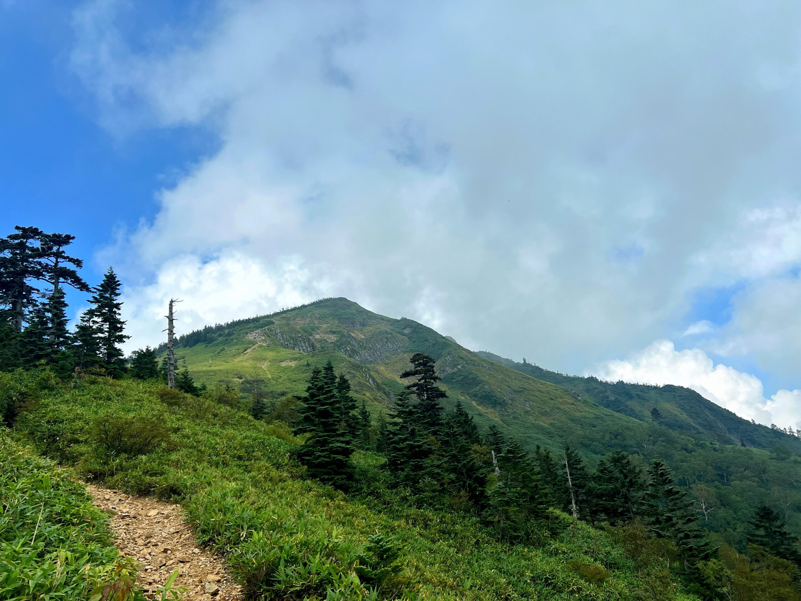 志賀高原の名峰「岩菅山」を快適に楽しむために！初夏の登山道整備レポート