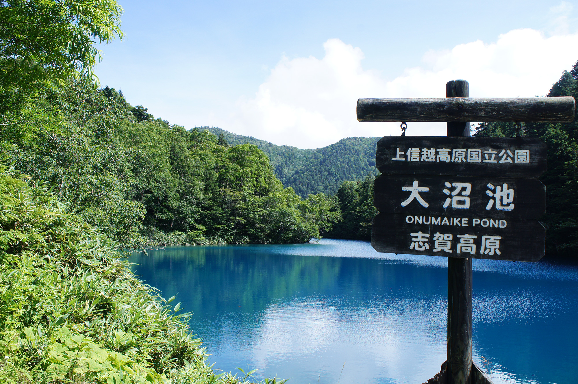 涼しい避暑地は長野のどこ？関東から行ける高原を8月の気温と混み具合でくらべる
